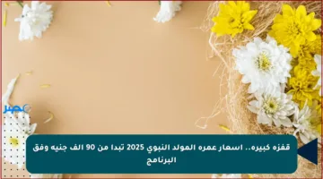 قفزة كبيرة.. أسعار عمرة المولد النبوي 2025 تبدأ من 90 ألف جنيه وفق البرنامج